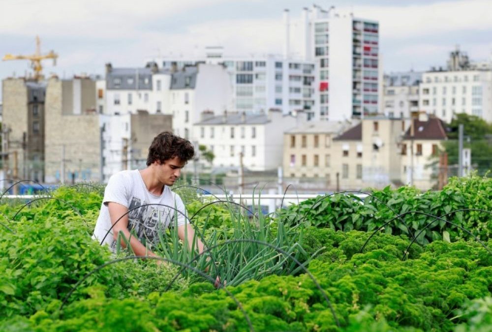L’agriculture urbaine en Europe: comprendre pour Agir